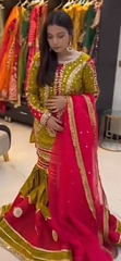 Dhani and pink gharara dress