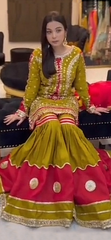 Dhani and pink gharara dress